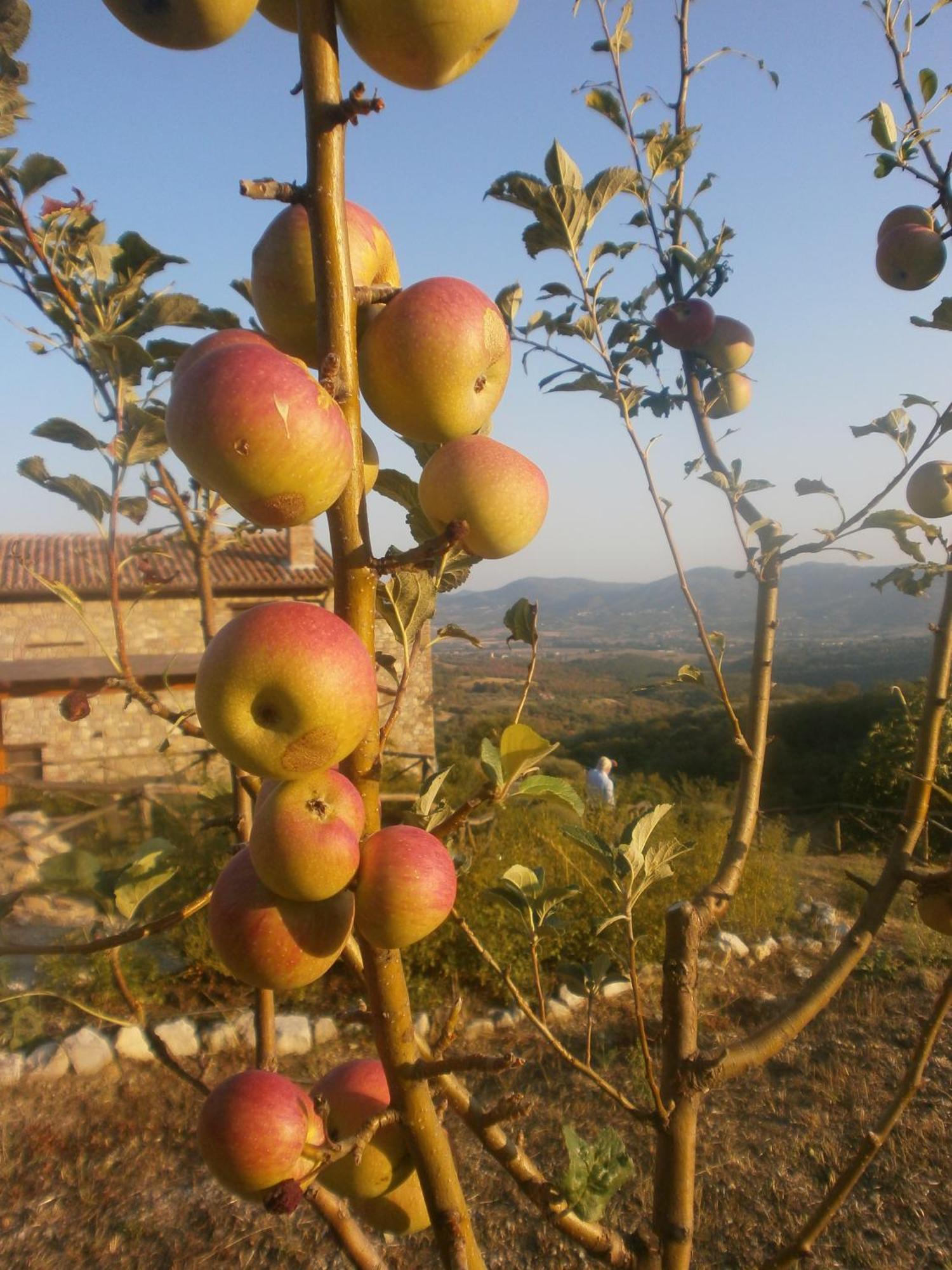 타베르넬레 I Casali Di Colle San Paolo 빌라 외부 사진