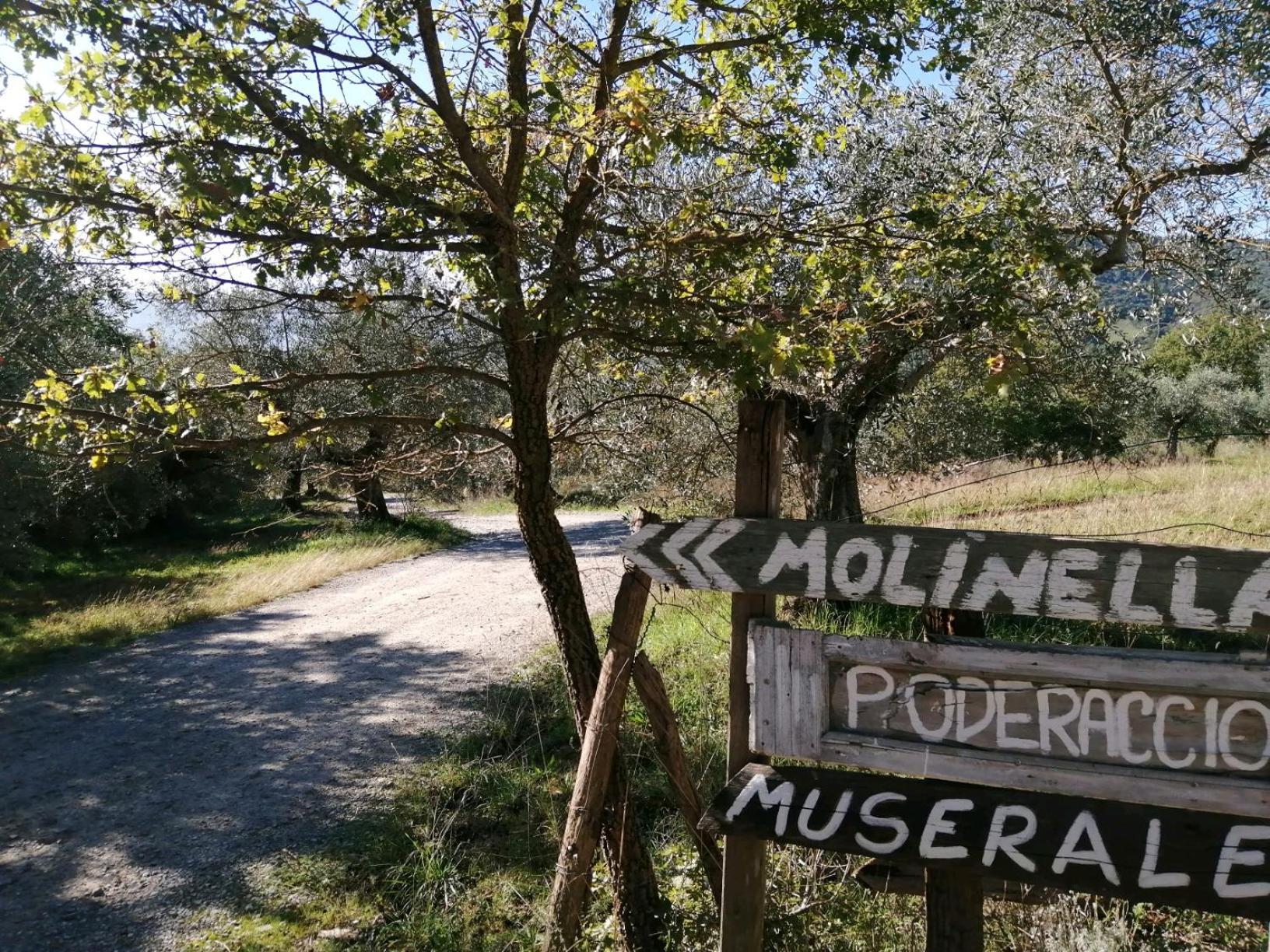 타베르넬레 I Casali Di Colle San Paolo 빌라 외부 사진