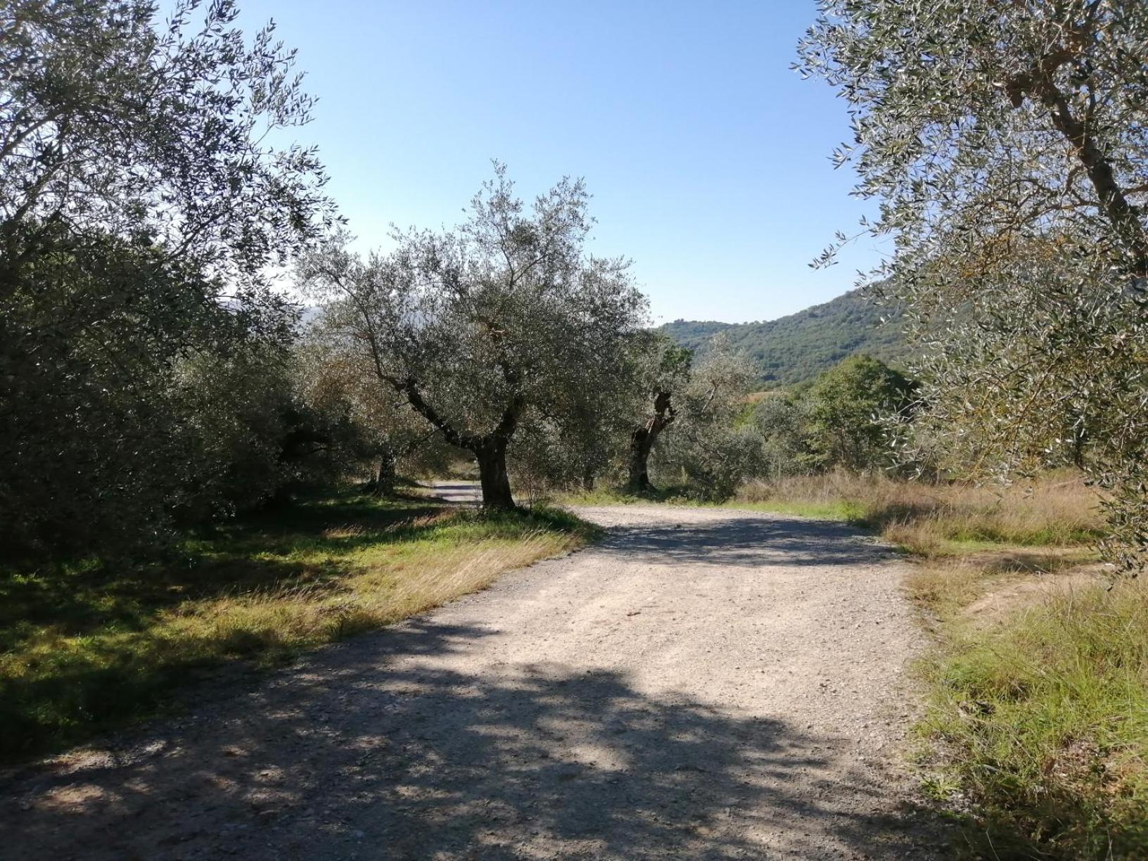 타베르넬레 I Casali Di Colle San Paolo 빌라 외부 사진
