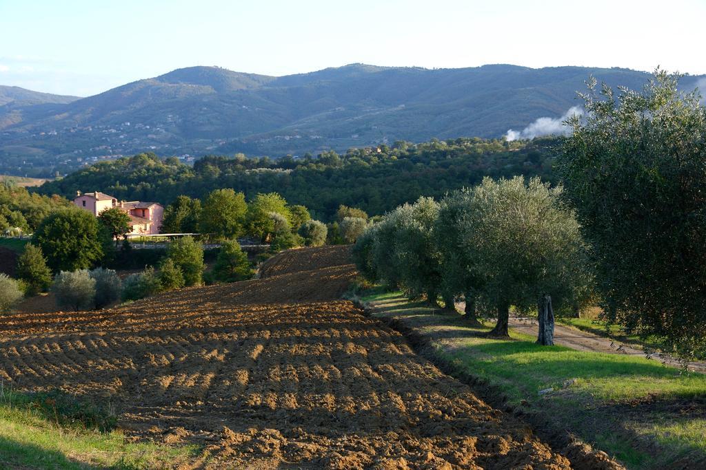 타베르넬레 I Casali Di Colle San Paolo 빌라 외부 사진