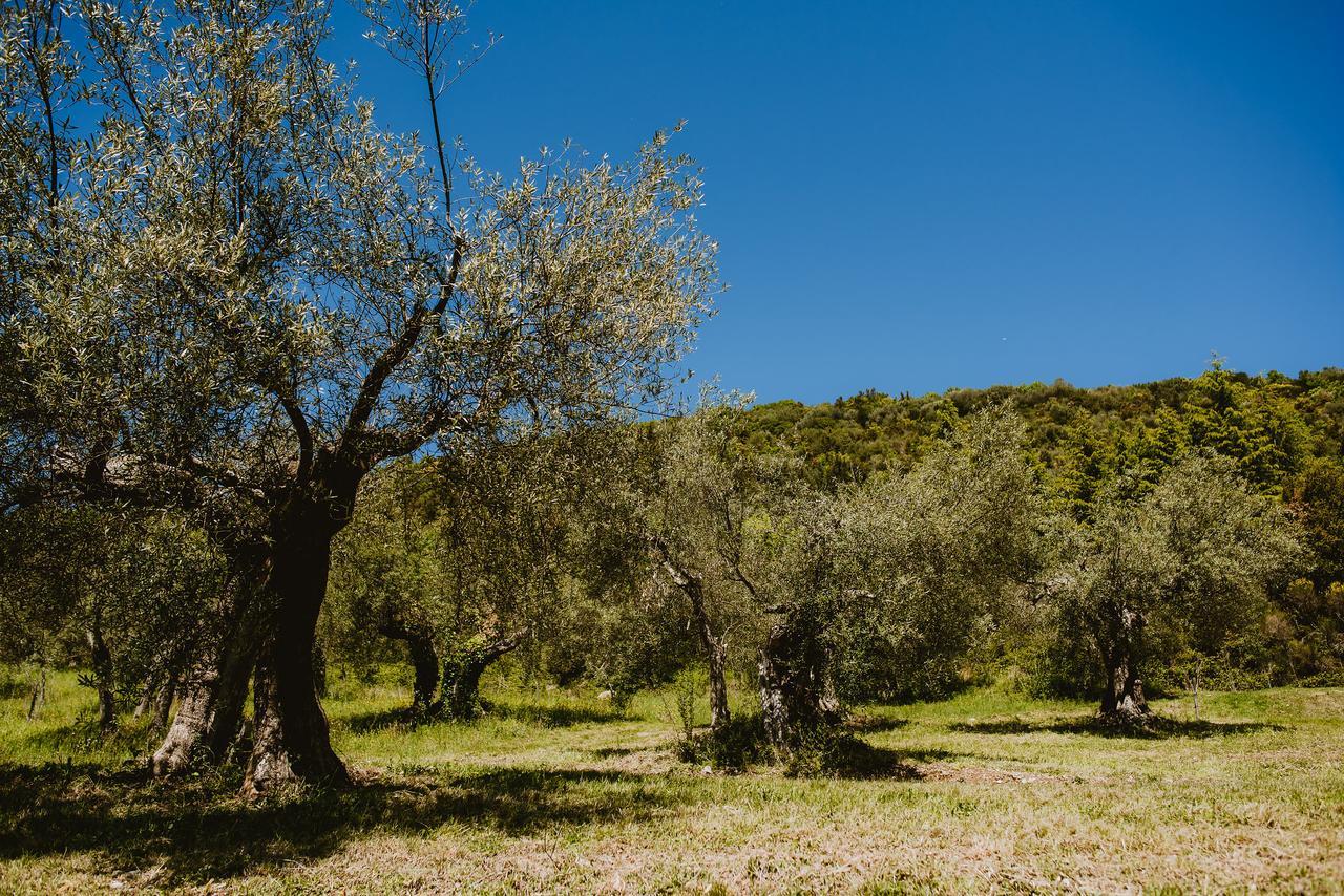 타베르넬레 I Casali Di Colle San Paolo 빌라 외부 사진