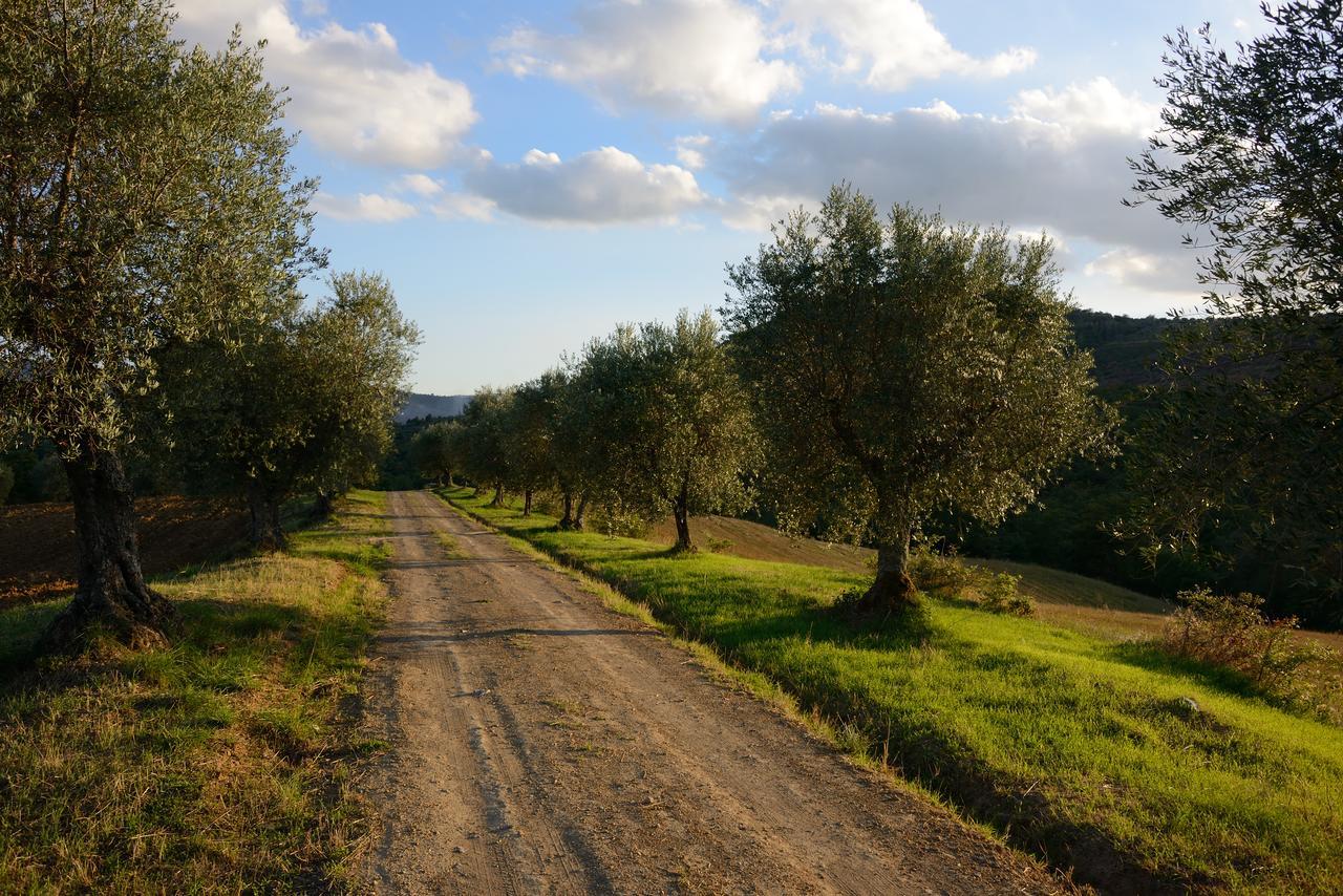 타베르넬레 I Casali Di Colle San Paolo 빌라 외부 사진